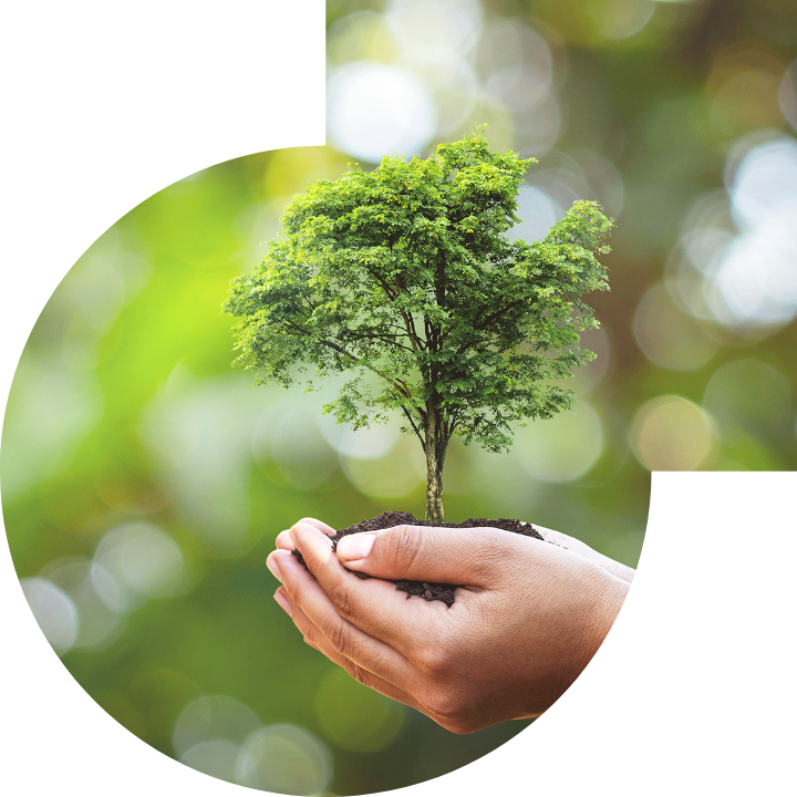 关怀人类、文化、环境与社会